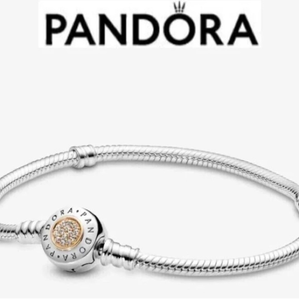 Pandora Moments Charm Bracelet